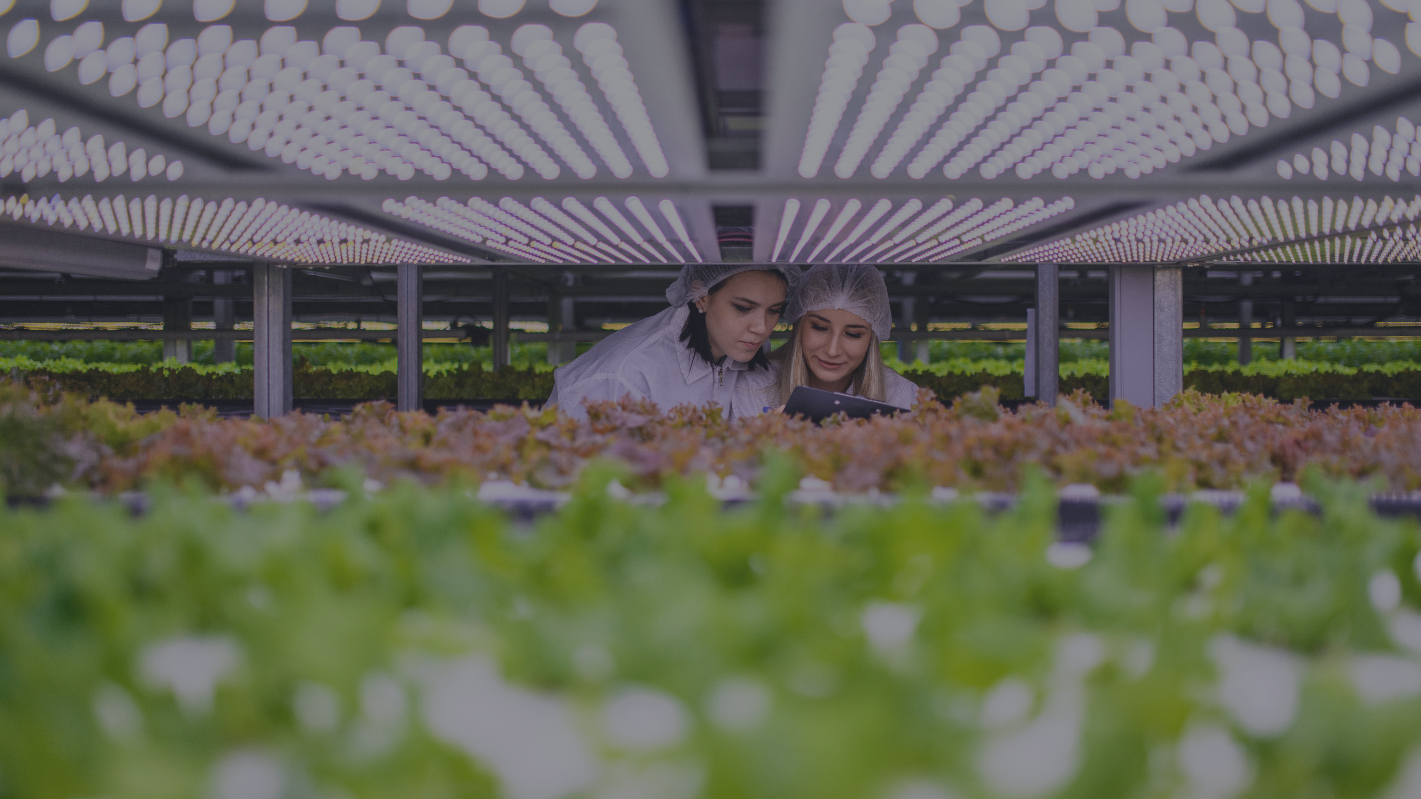 Augmentation de la performance